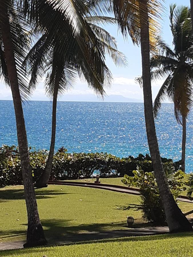 Studio En Bord De Mer - Residence La Vieille Tour ル・ゴジエ エクステリア 写真