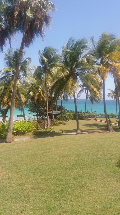 Studio En Bord De Mer - Residence La Vieille Tour ル・ゴジエ エクステリア 写真