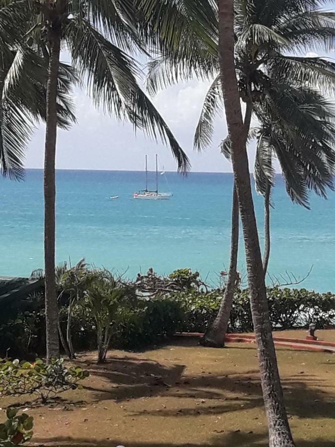 Studio En Bord De Mer - Residence La Vieille Tour ル・ゴジエ エクステリア 写真