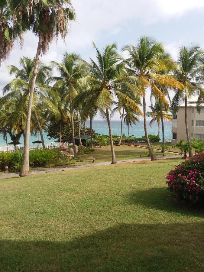 Studio En Bord De Mer - Residence La Vieille Tour ル・ゴジエ エクステリア 写真